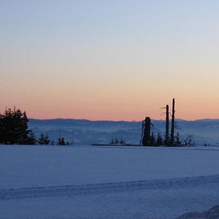 Villa Kostic Kopaonik Dış mekan fotoğraf