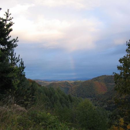 Villa Kostic Kopaonik Dış mekan fotoğraf