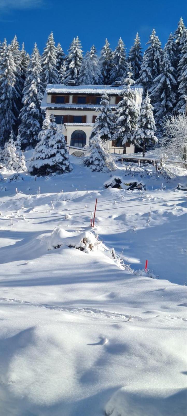 Villa Kostic Kopaonik Dış mekan fotoğraf