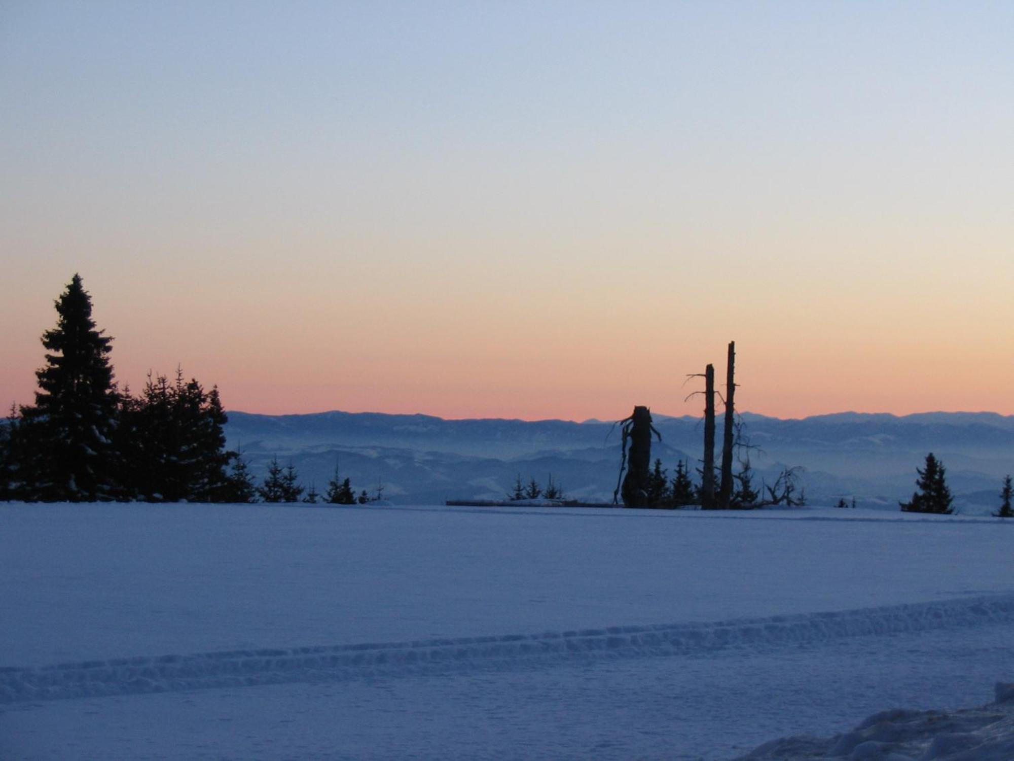 Villa Kostic Kopaonik Dış mekan fotoğraf