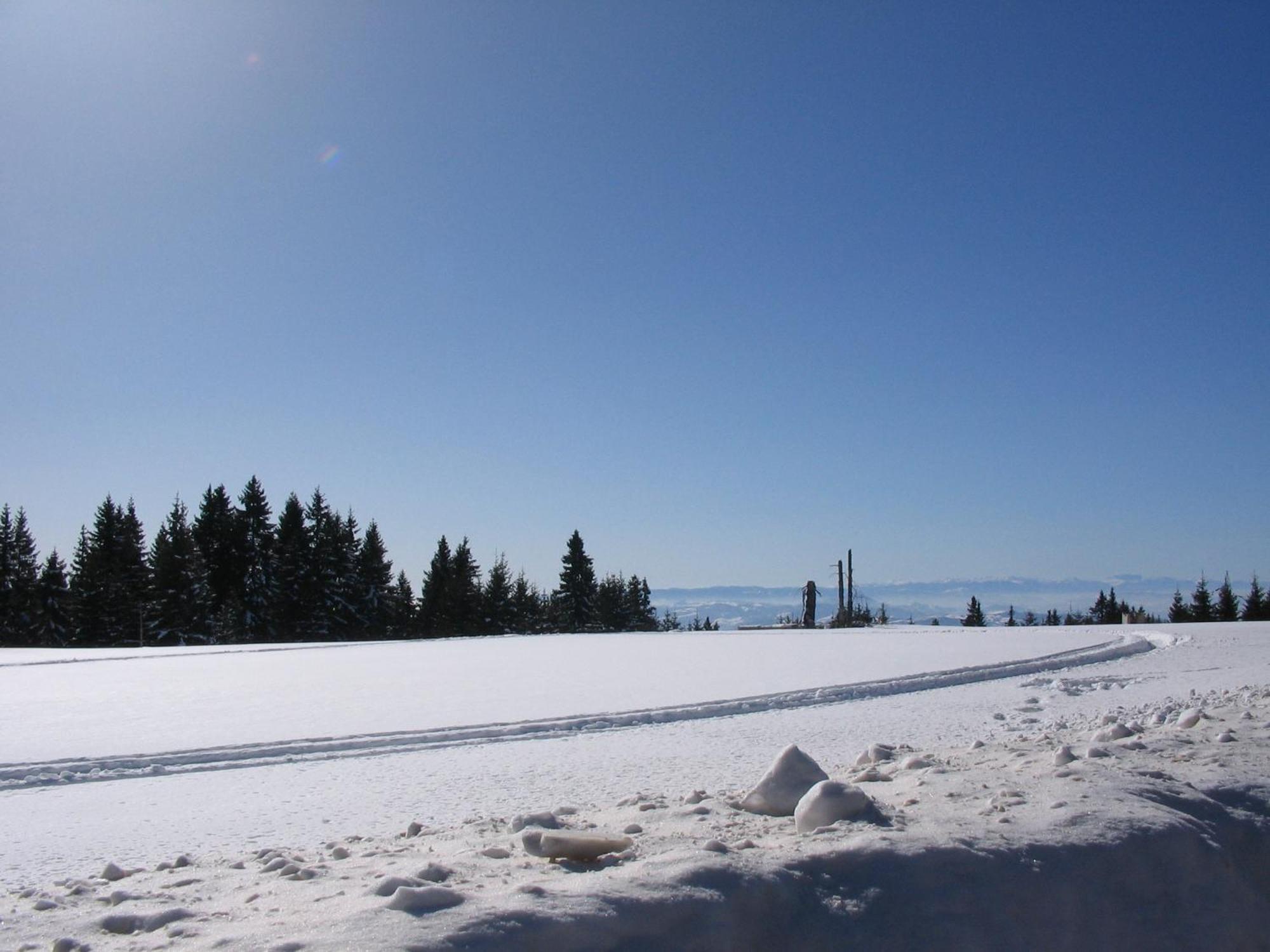 Villa Kostic Kopaonik Dış mekan fotoğraf