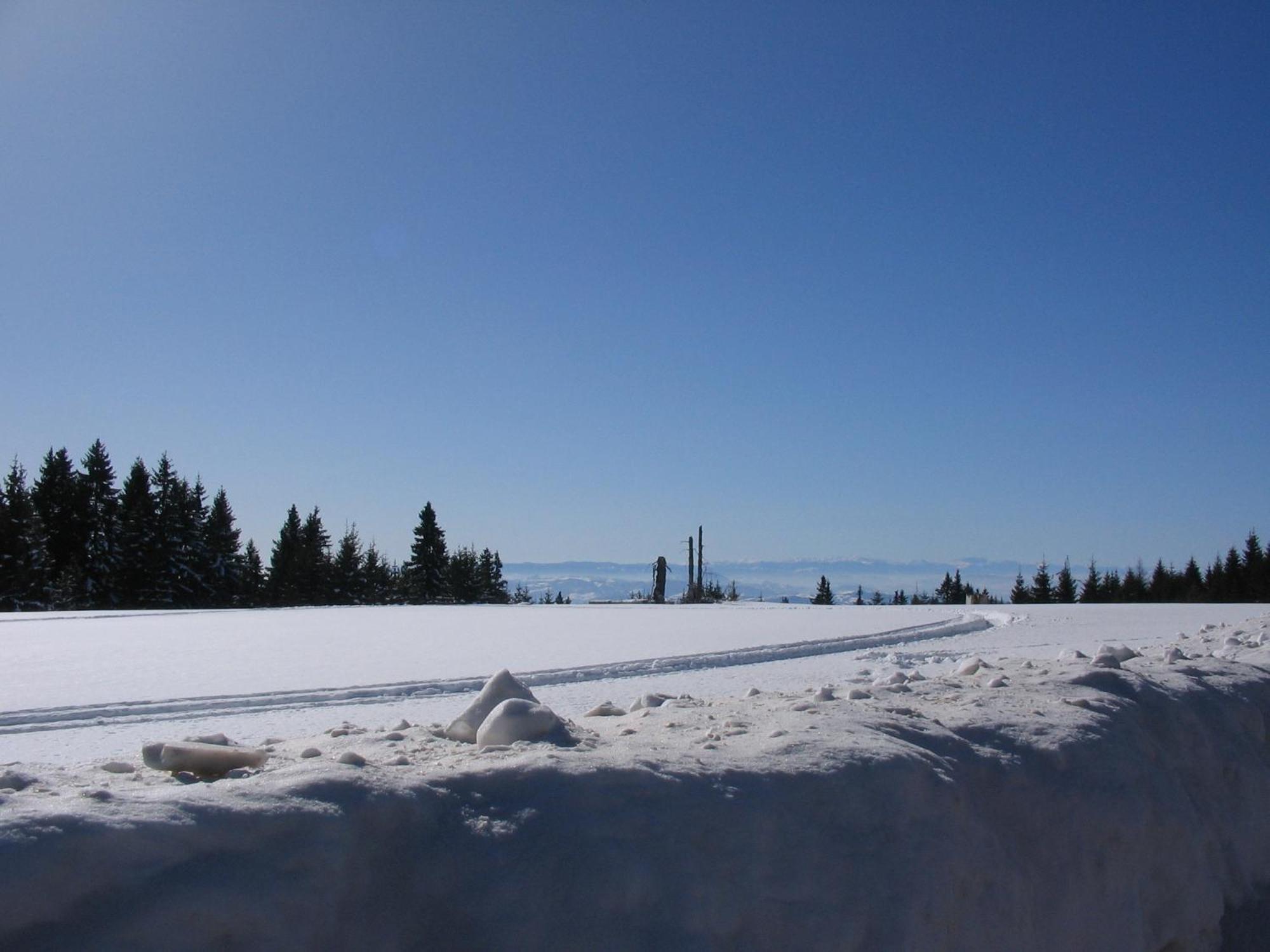 Villa Kostic Kopaonik Dış mekan fotoğraf