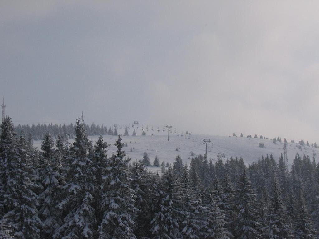 Villa Kostic Kopaonik Dış mekan fotoğraf