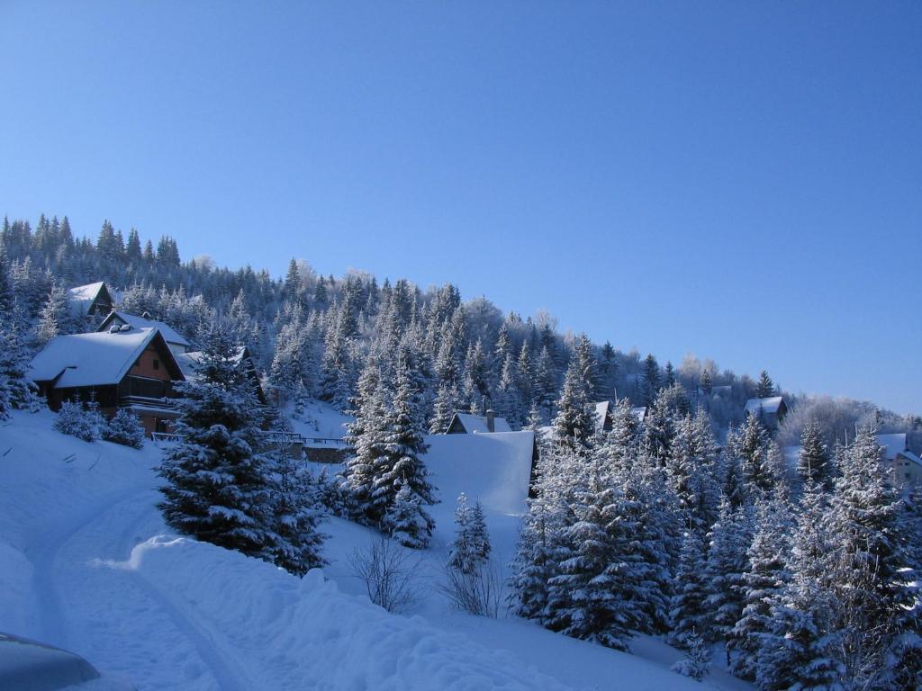 Villa Kostic Kopaonik Dış mekan fotoğraf