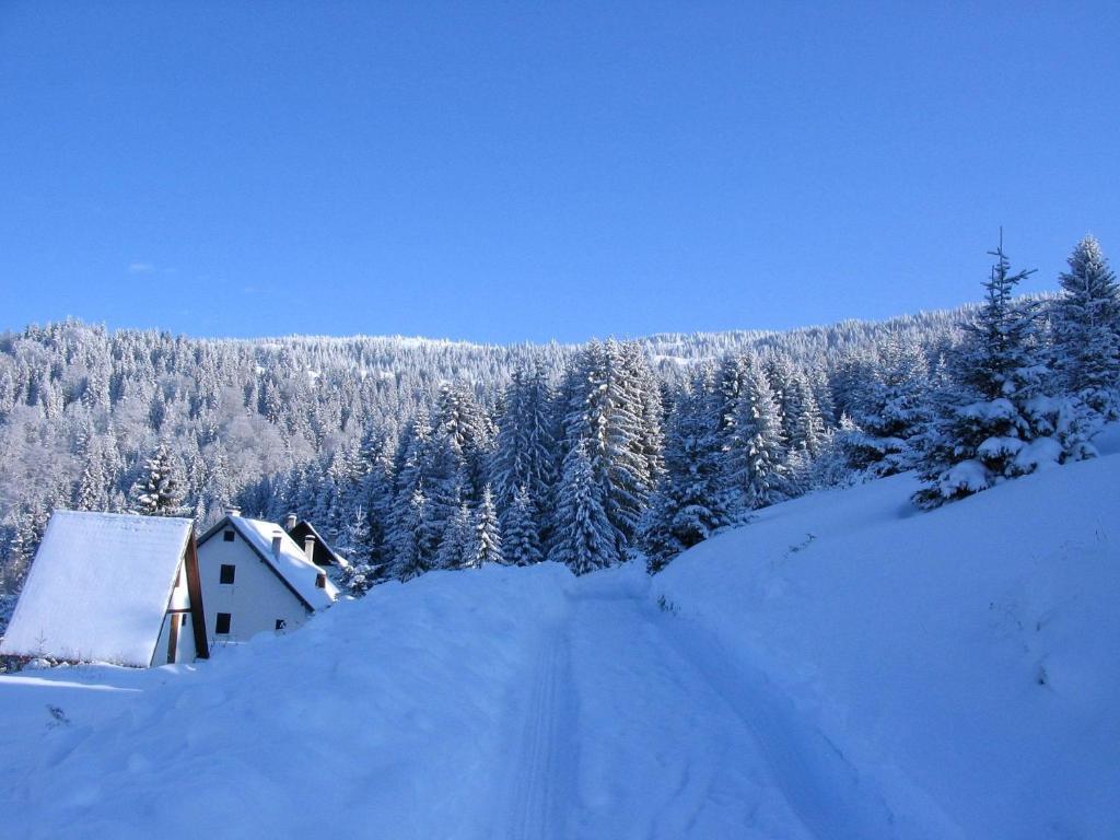 Villa Kostic Kopaonik Dış mekan fotoğraf