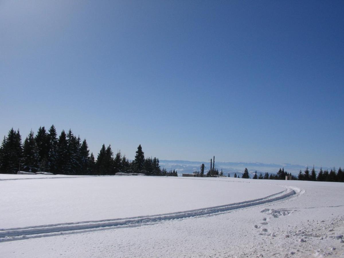 Villa Kostic Kopaonik Dış mekan fotoğraf